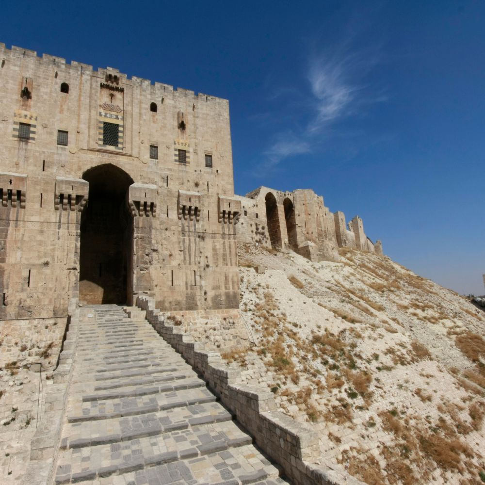 حلب